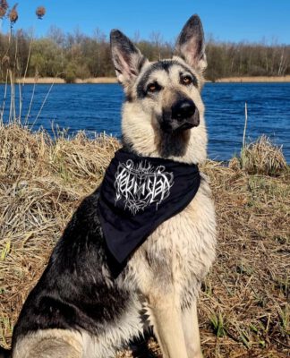 Bandana (for Beast and Men)